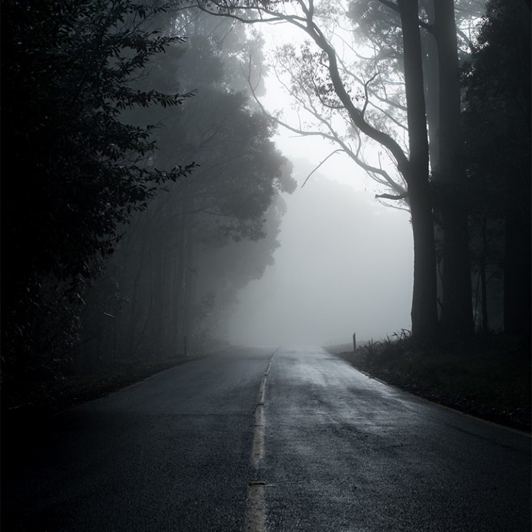 Leere dunkele Straße in einem nebligen Wald