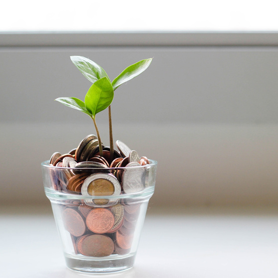 Glas mit Geld aus dem eine Pflanze wächst